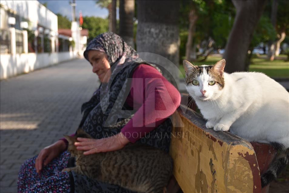 Sahipsiz kedilerin Fadime annesi