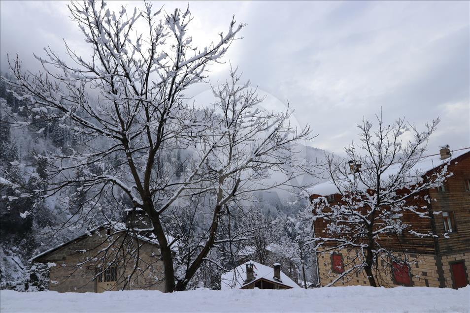 The Ayder Plateau in winter