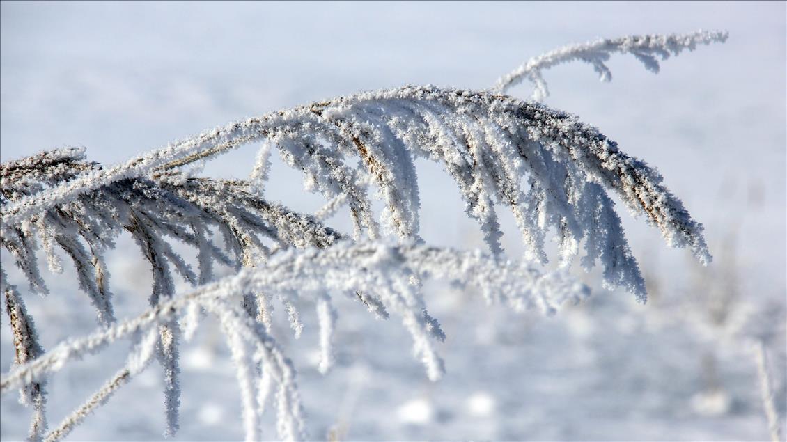Sivas'ta hava sıcaklığı eksi 30 dereceye kadar düştü