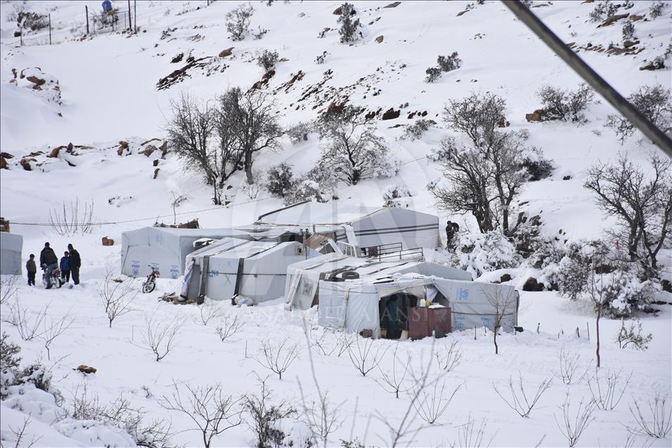 Arsal'da 60 bin Suriyeli mülteci hayatta kalma mücadelesi veriyor