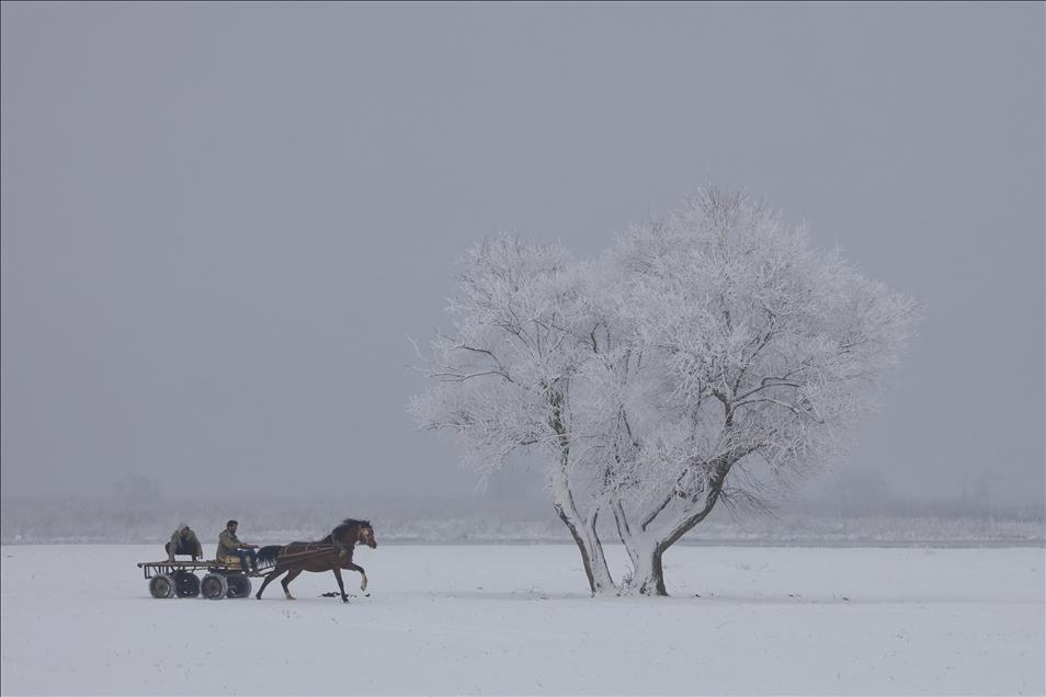 Doğu Anadolu'da kış