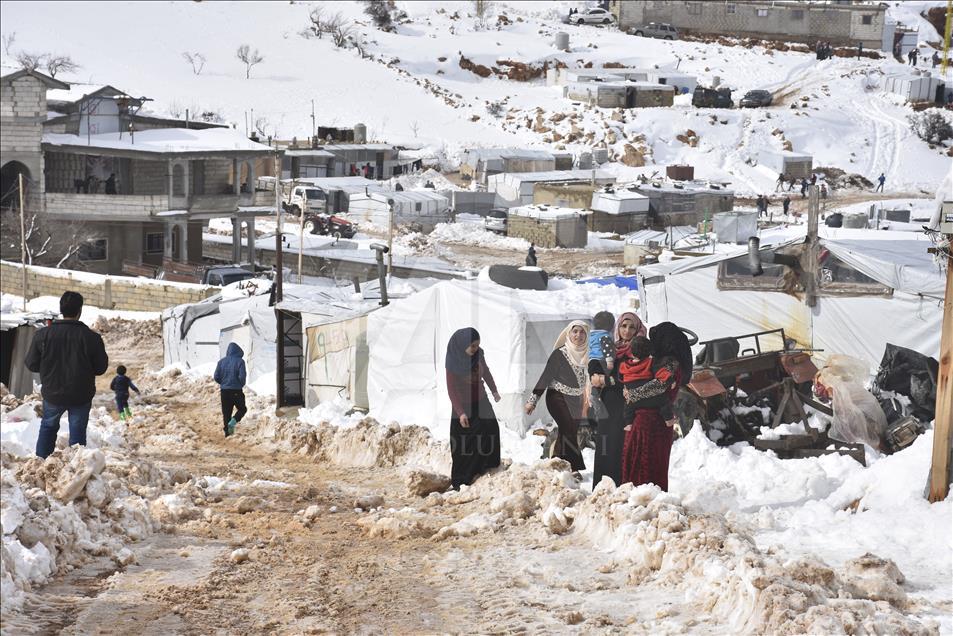 Arsal'da 60 bin Suriyeli mülteci hayatta kalma mücadelesi veriyor