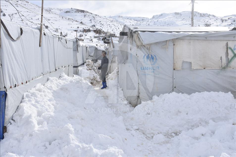 Arsal'da 60 bin Suriyeli mülteci hayatta kalma mücadelesi veriyor