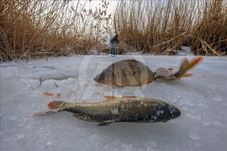 Dangerous fishing on the shores of Lake Van