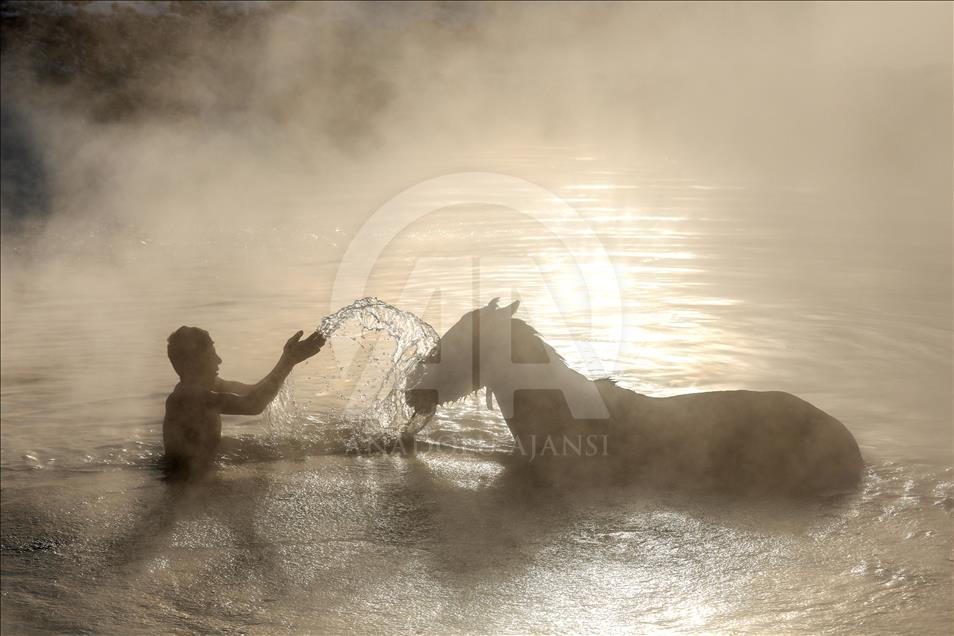 Turqi, tradita e larjes së kuajve dhe lopëve në ujëra termale