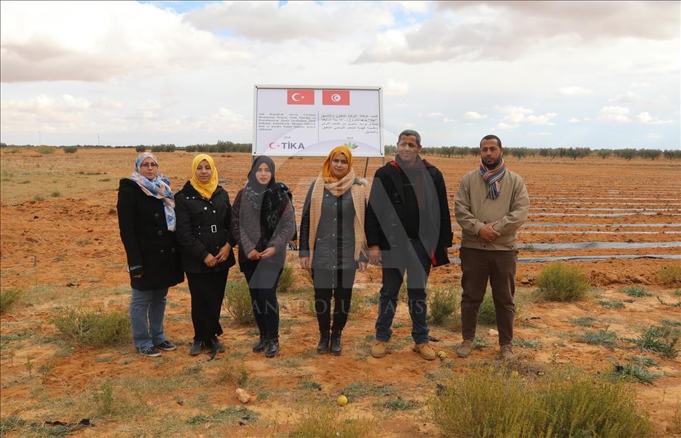 Tunisie : La culture de la stévia, un projet pilote soutenu par la TIKA