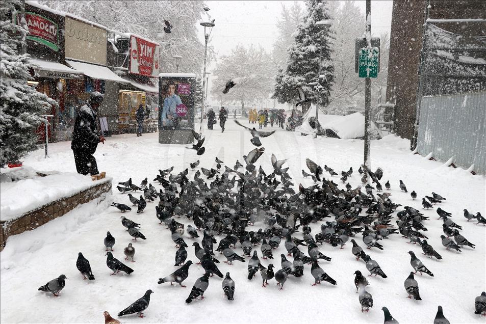 Kayseri'de kar yağışı