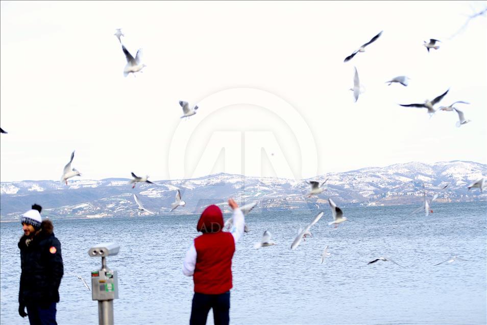 صابانجا التركية.. السياح العرب ينعشون عطلة الشتاء