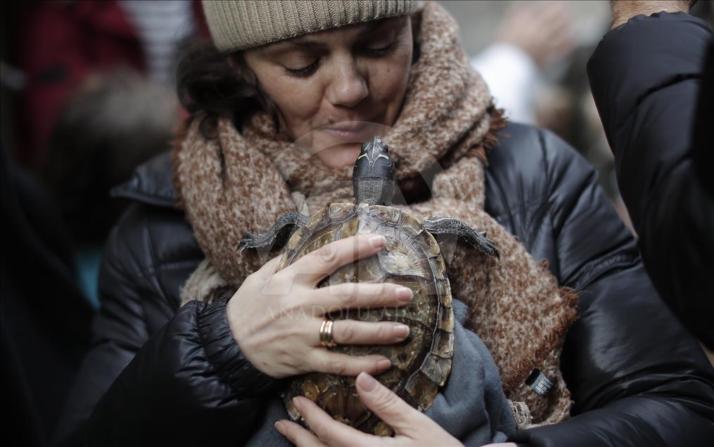 İspanya'da evcil hayvanlar kutsandı