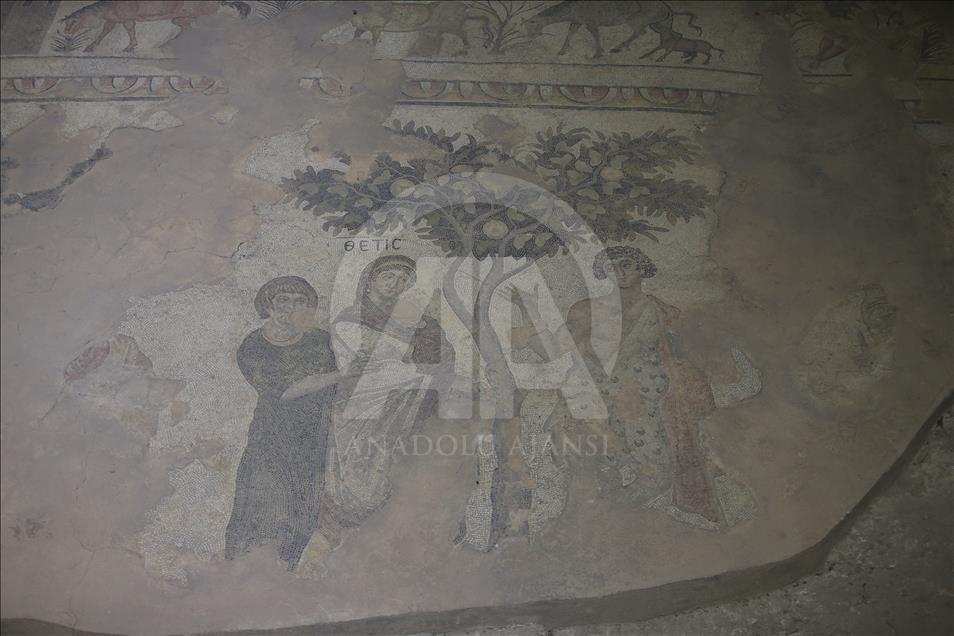 Gobekli Tepe artifacts at Sanliurfa museum complex