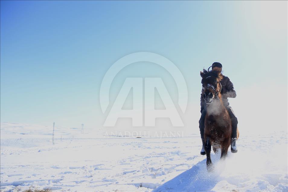 Atlar kar üzerinde yaz yarışlarına hazırlanıyor