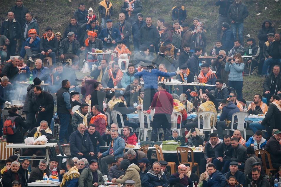 37. Selçuk Efes Deve Güreşleri Festivali
