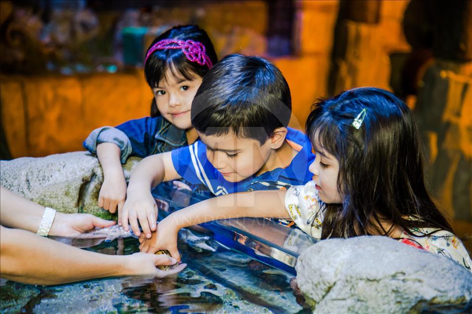 حدائق الحيوان والأحياء المائية وجهة مفضلة للأطفال بإسطنبول
