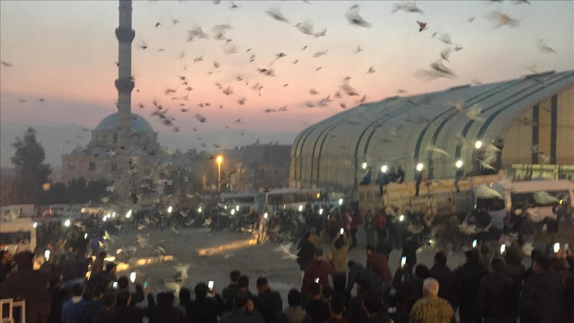 Şanlıurfa semalarına "güvercin döküldü"
