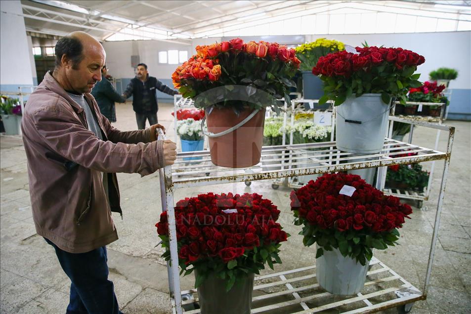Los productores de rosas se preparan para el día de San Valentín