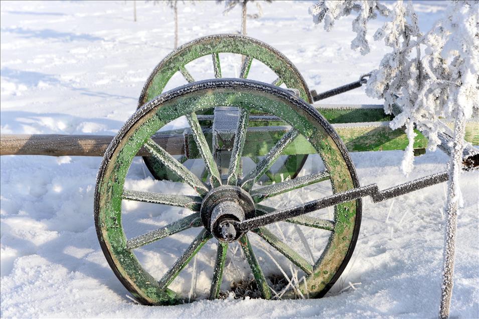 Ardahan'da soğuk hava