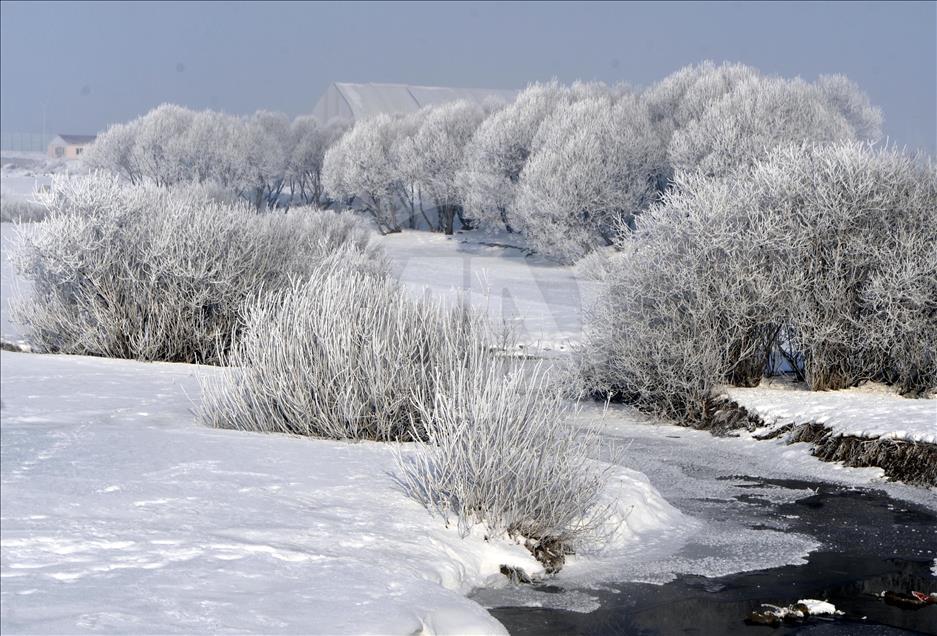 Ardahan'da soğuk hava