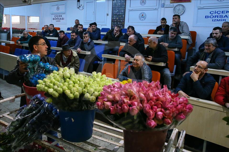 Los productores de rosas se preparan para el día de San Valentín