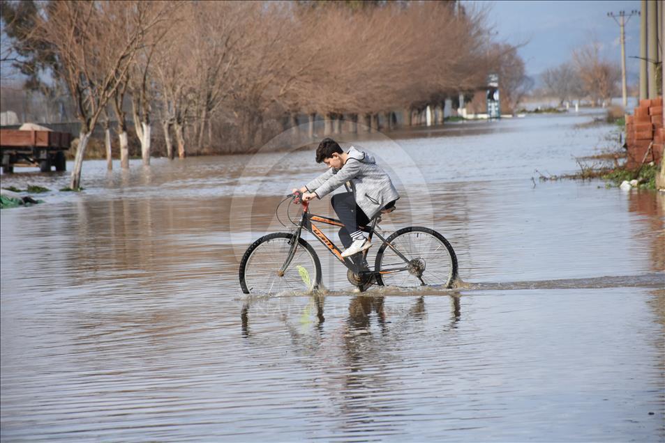 Büyük Menderes Nehri taştı, ekili alanlar su altına kaldı