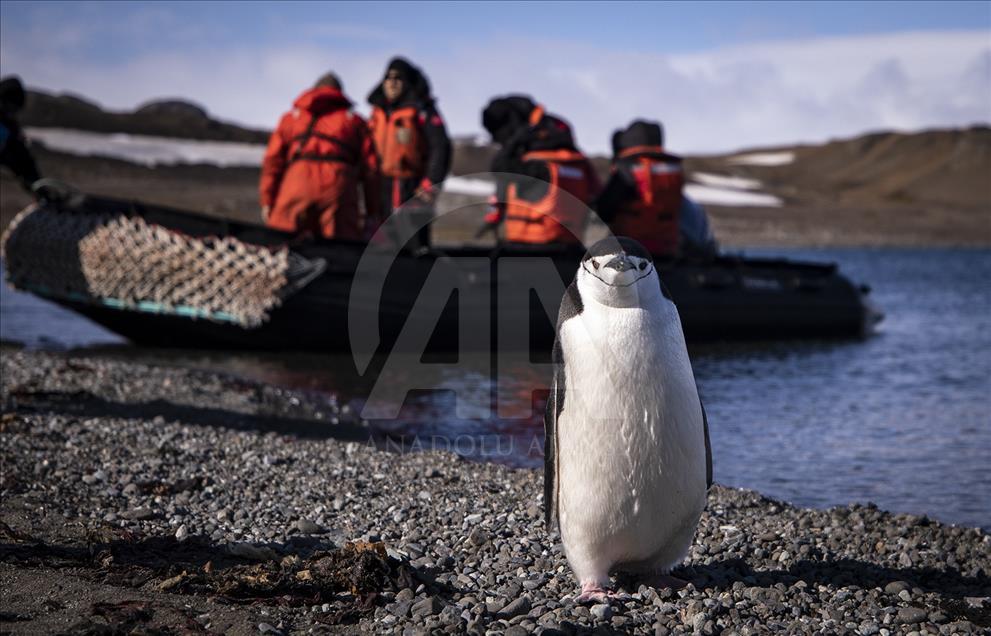 L'expédition sceintiqiue turque est arrivée en Antarctique