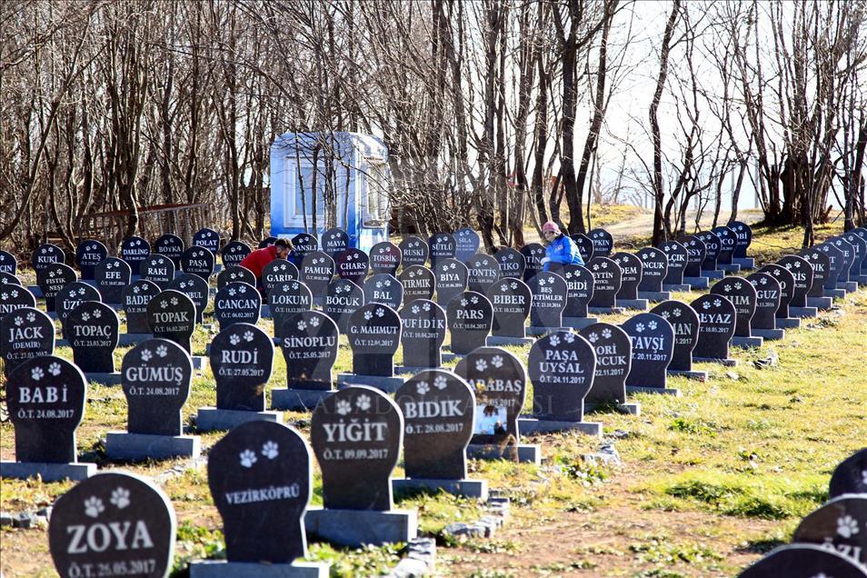Pet Cemetery in Turkey's Samsun