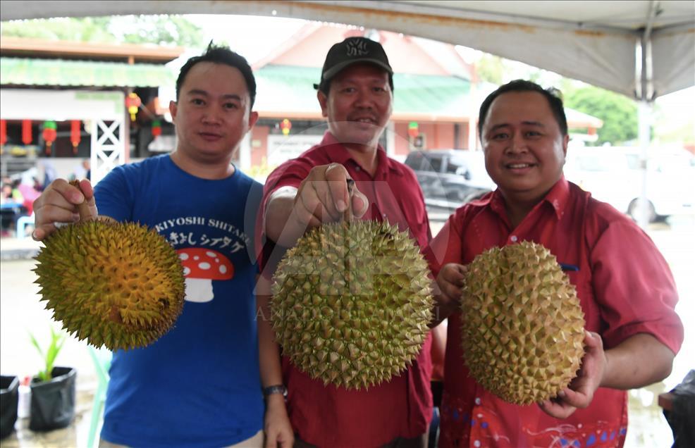 فاكهة "الدوريان" تهدد الغابات في ماليزيا
