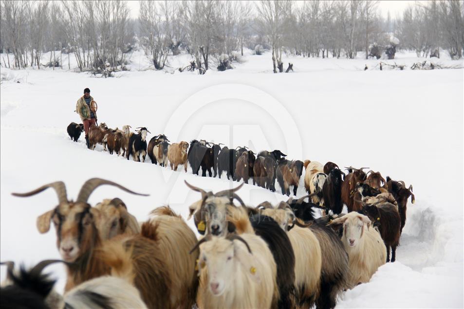Winter in Turkey's Tunceli