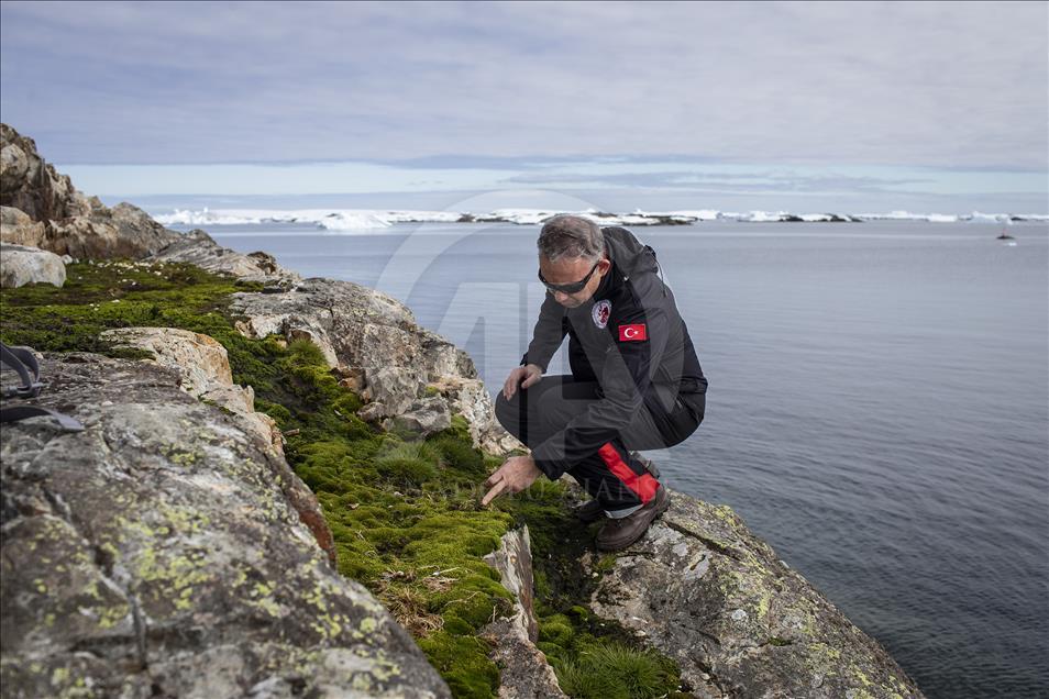 Race for research at continent of science and peace Antarctica