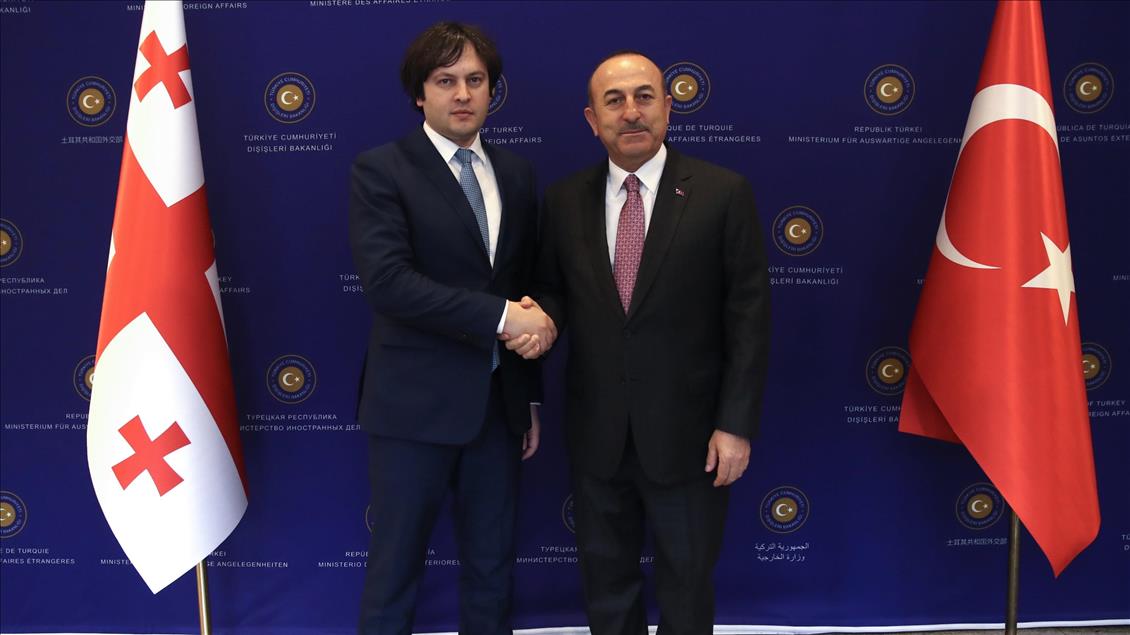 دیدار چاووشاوغلو با رئیس مجلس گرجستان