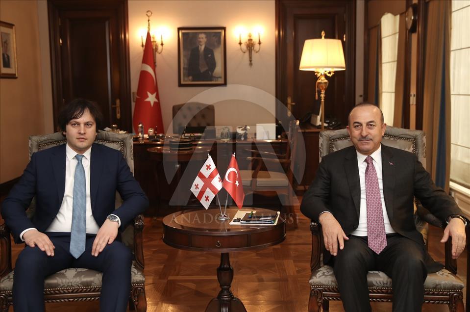 دیدار چاووشاوغلو با رئیس مجلس گرجستان