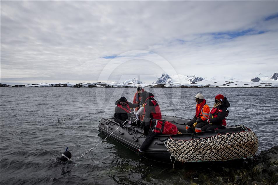 Race for research at continent of science and peace Antarctica