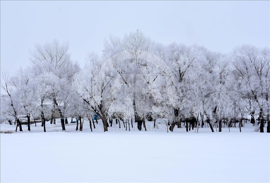 Doğu Anadolu'da kış 