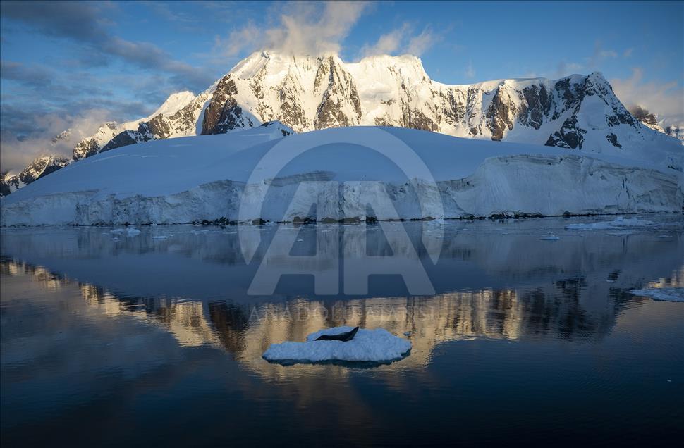 Турецкие ученые продолжают исследования в Антарктике
