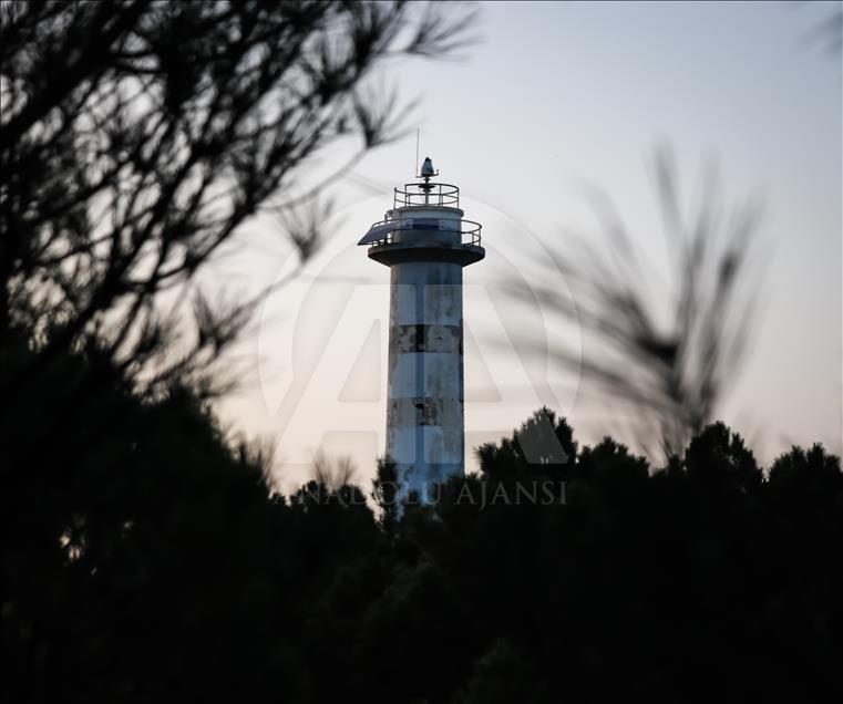 Ağaçların çevrelediği deniz feneri