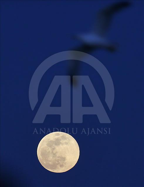 Supermoon in Turkey's Istanbul