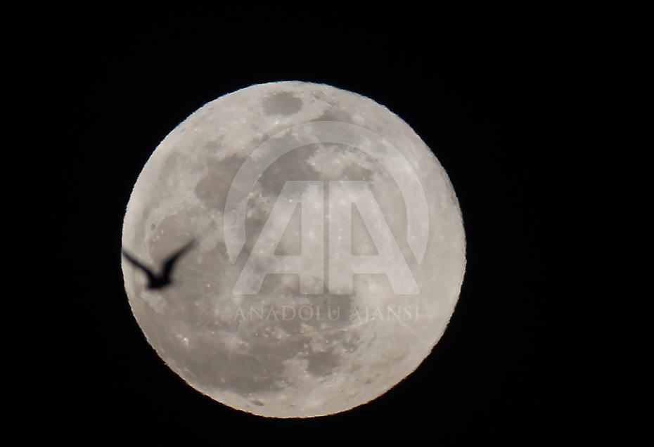 Supermoon in Turkey's Istanbul