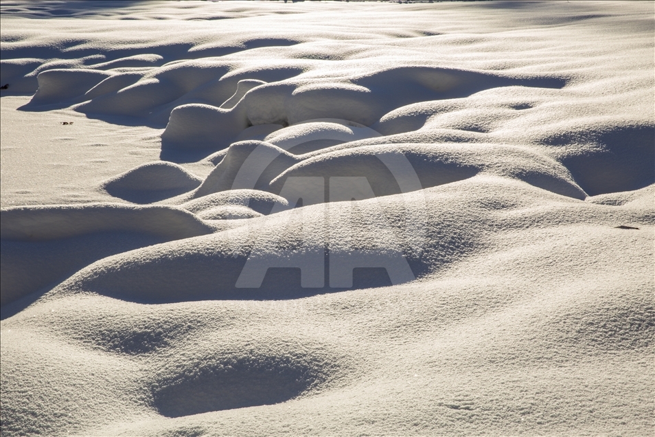 Paisajes nevados del valle de Yosemite en EEUU