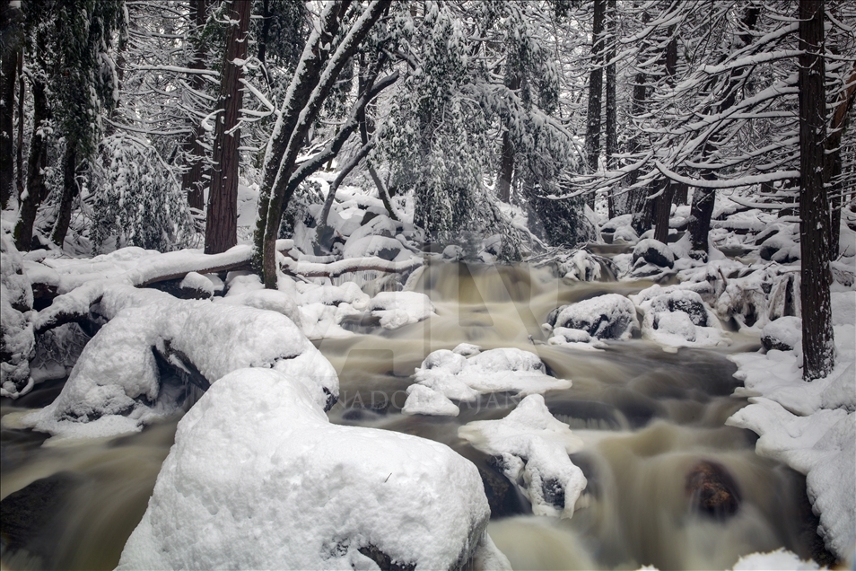 Paisajes nevados del valle de Yosemite en EEUU