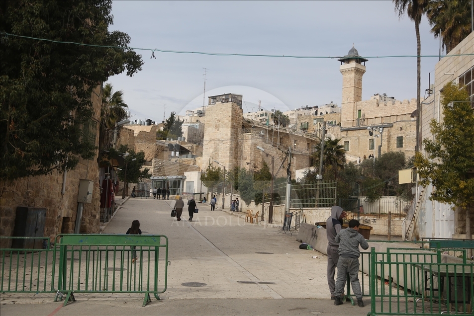 Filistinliler Yahudi yerleşimcilerle toprakları için mücadele ediyor

