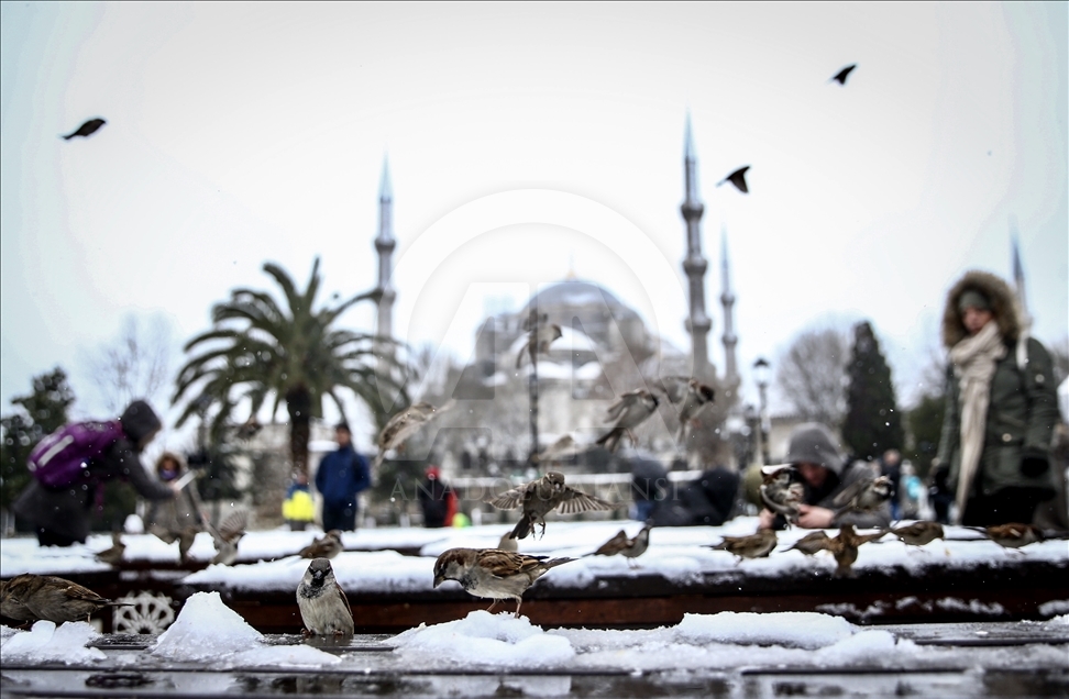 İstanbul’da kar yağışı 