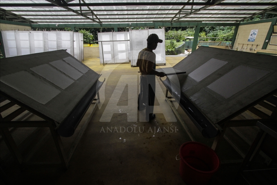 Kertas daur ulang dari kotoran gajah