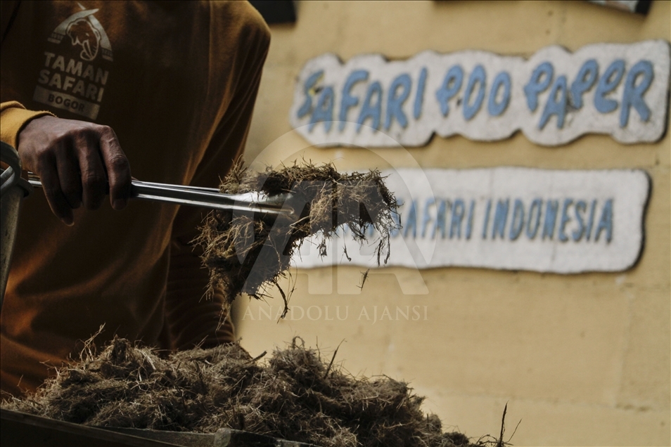 Kertas daur ulang dari kotoran gajah