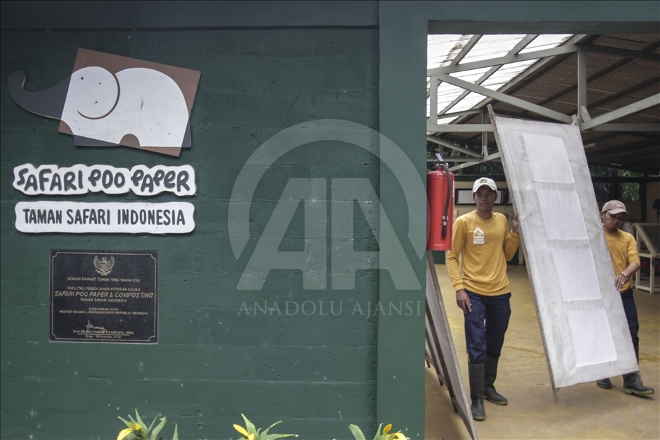 Kertas daur ulang dari kotoran gajah
