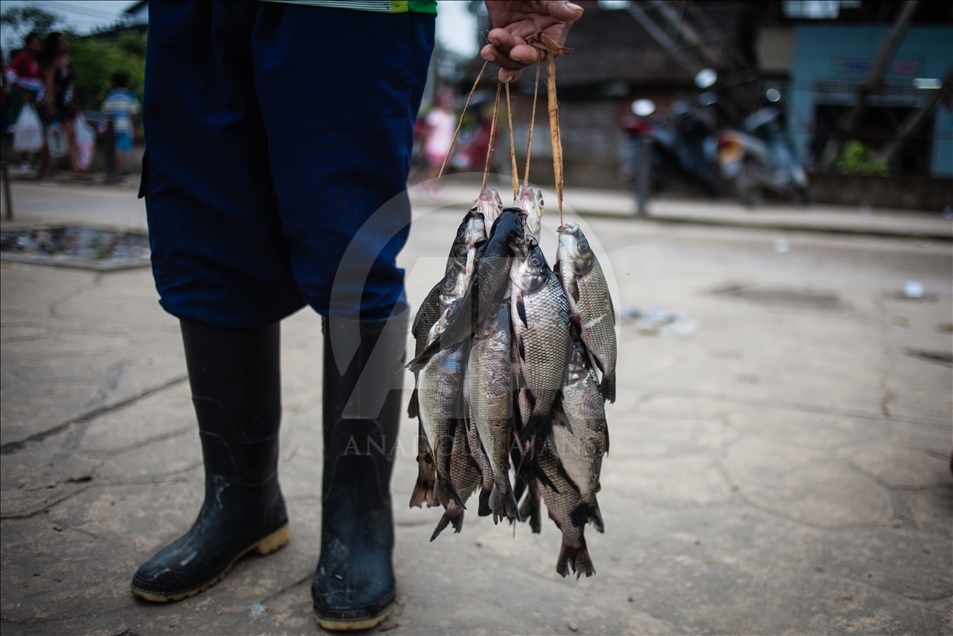 THE AMAZON LIFE THAT FEW KNOW