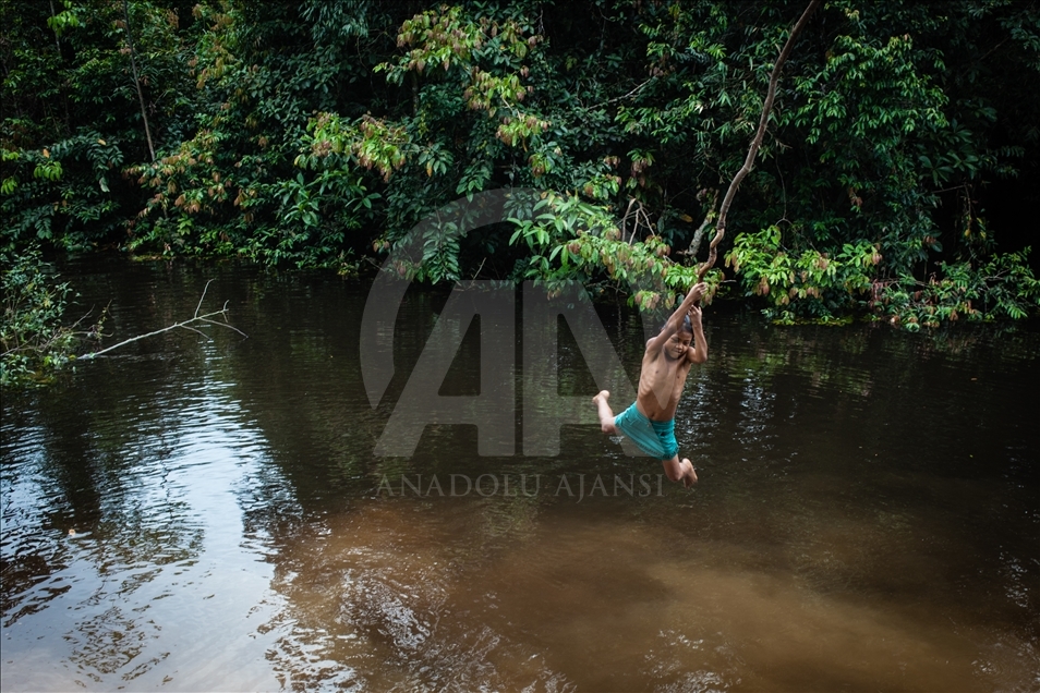 THE AMAZON LIFE THAT FEW KNOW