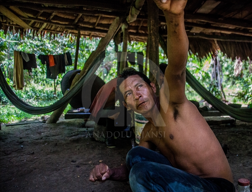 THE AMAZON LIFE THAT FEW KNOW