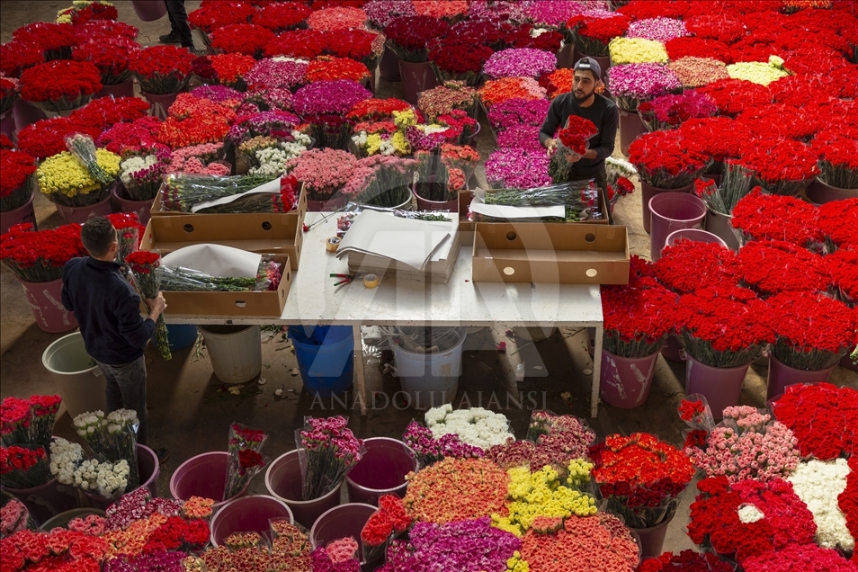 افزایش صادرات گل ترکیه در آستانه روز جهانی زن
