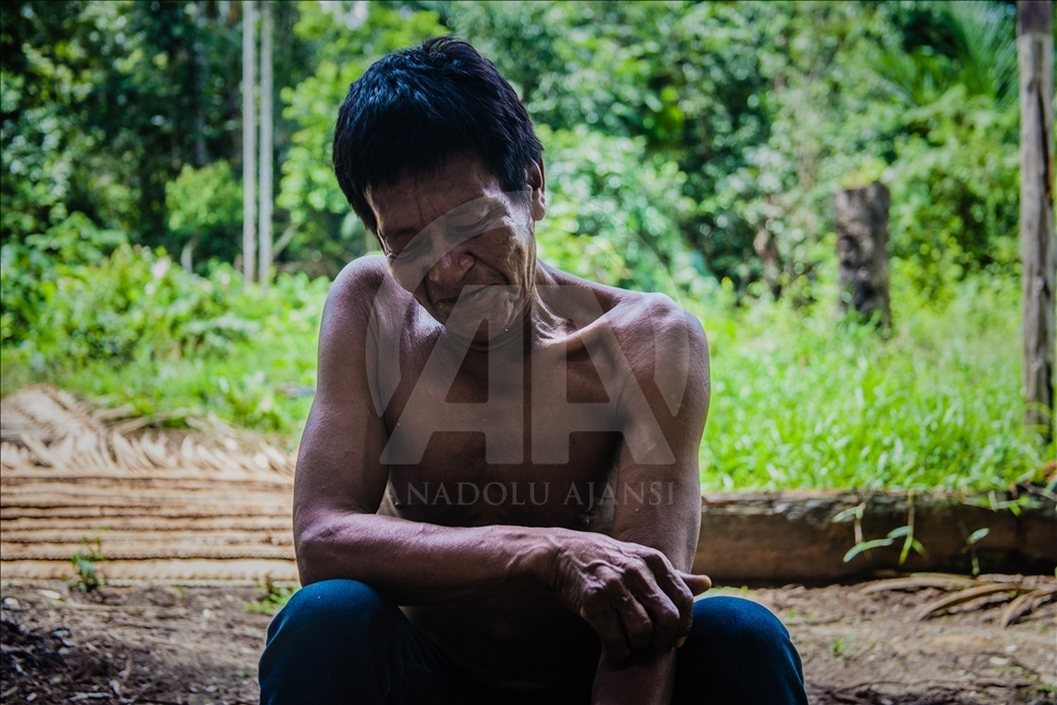 THE AMAZON LIFE THAT FEW KNOW