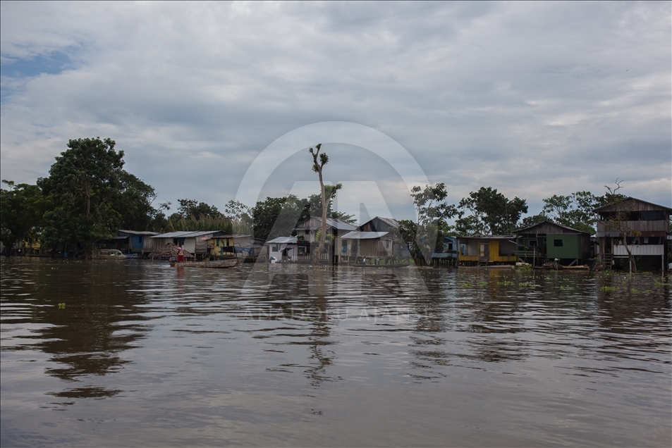 THE AMAZON LIFE THAT FEW KNOW