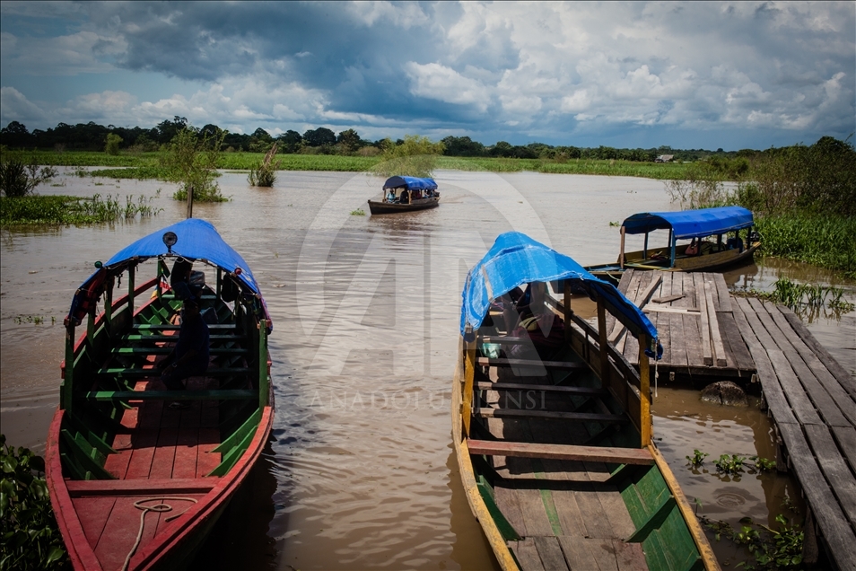 THE AMAZON LIFE THAT FEW KNOW
